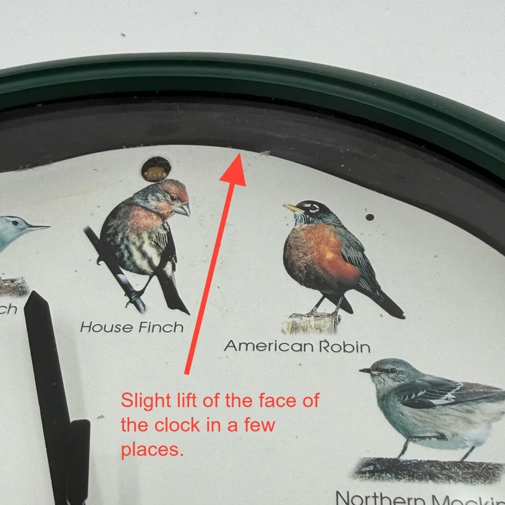 Audubon Singing Bird Clock 8 Inch Green Wall Clock AUD8 1997 Vintage Bird Songs